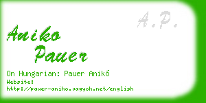 aniko pauer business card
